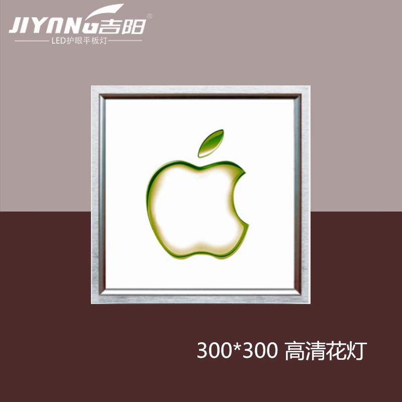 LED���� 300*300ƽ����廨��